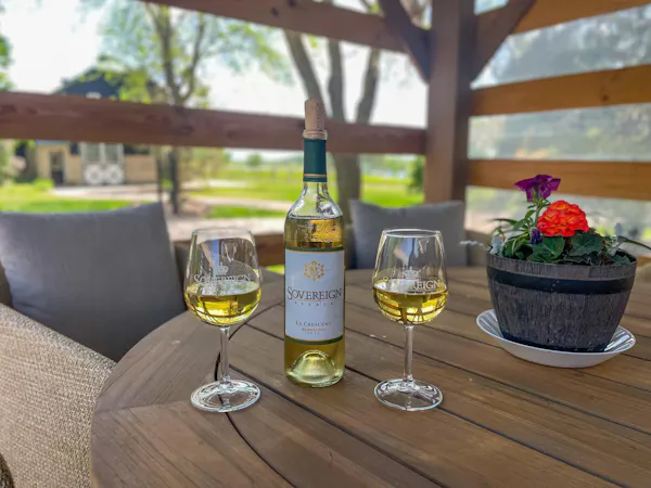 alcoholic drink, barware, drinkware, liquor, white wine, dessert wine