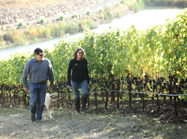 agriculture, plantation, sunglasses, people in nature, vineyard, soil