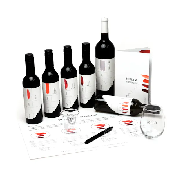 bottle, drinkware, glass bottle, wine, red wine, alcoholic drink