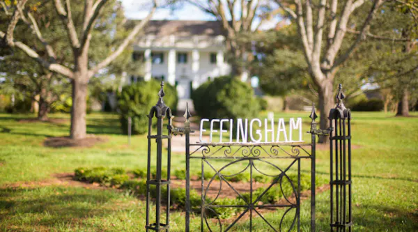 garden, spring, lawn, plantation, park, landscaping