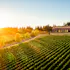 Domaine Serene Experiences