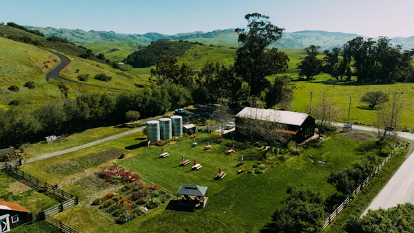 plants, landscape, rural area, land lot, house, plain