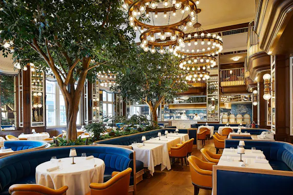 restaurant, chandelier, hotel, light fixture