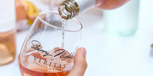 tableware, alcoholic drink, drinkware, barware, stemware, liquor