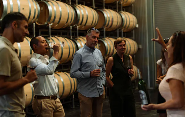 barrel, winery, brewery, wine cellar