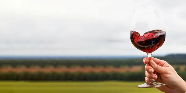 stemware, red, drinkware, wine glass, alcoholic drink, tableware