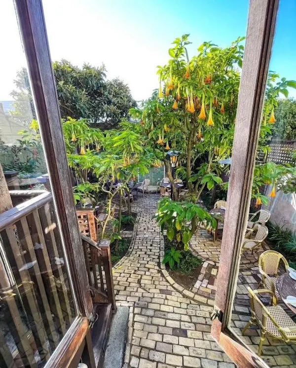 plants, flowerpot, garden, eco hotel, backyard, shade