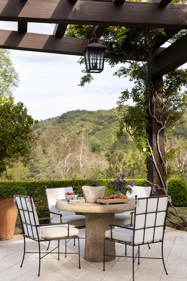 furniture, plants, outdoor furniture, table, outdoor table, chair