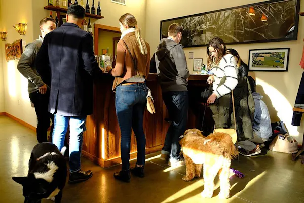 human, dog breed, vertebrate, jeans, dog, carnivore