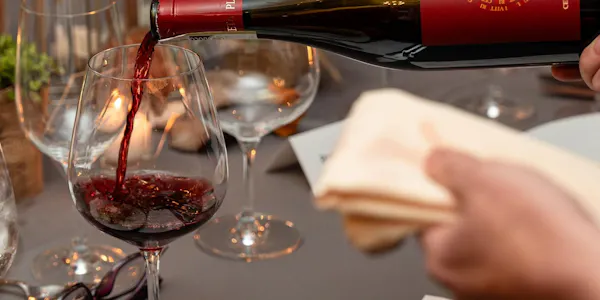 stemware, tableware, drinkware, red, alcoholic drink, wine glass