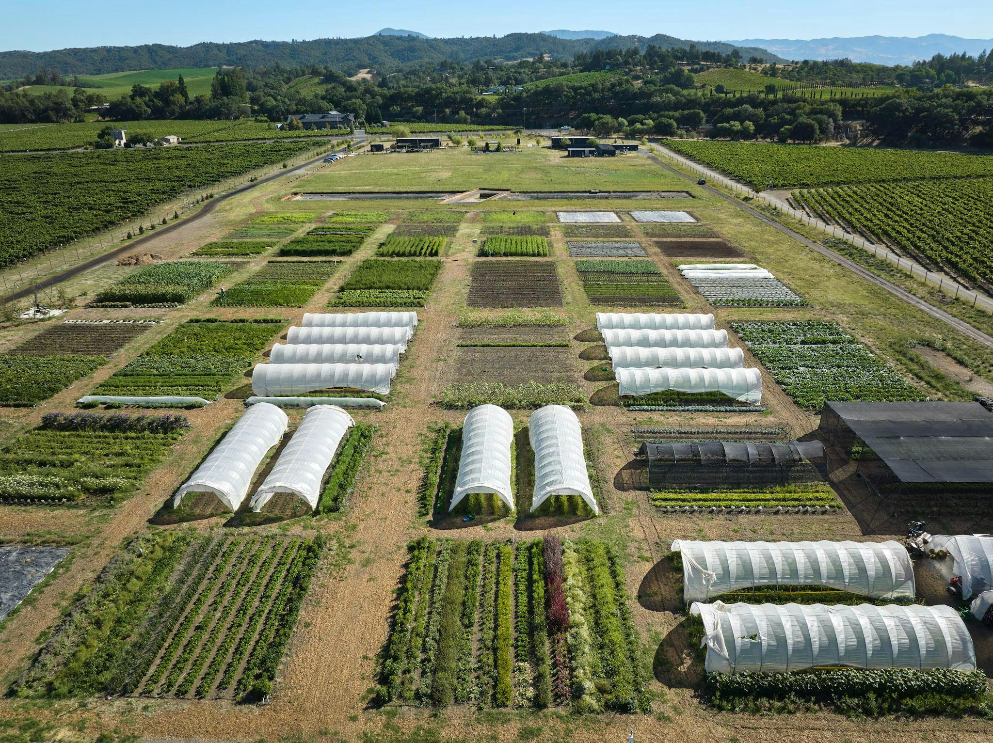 SingleThread Farm at Dry Creek