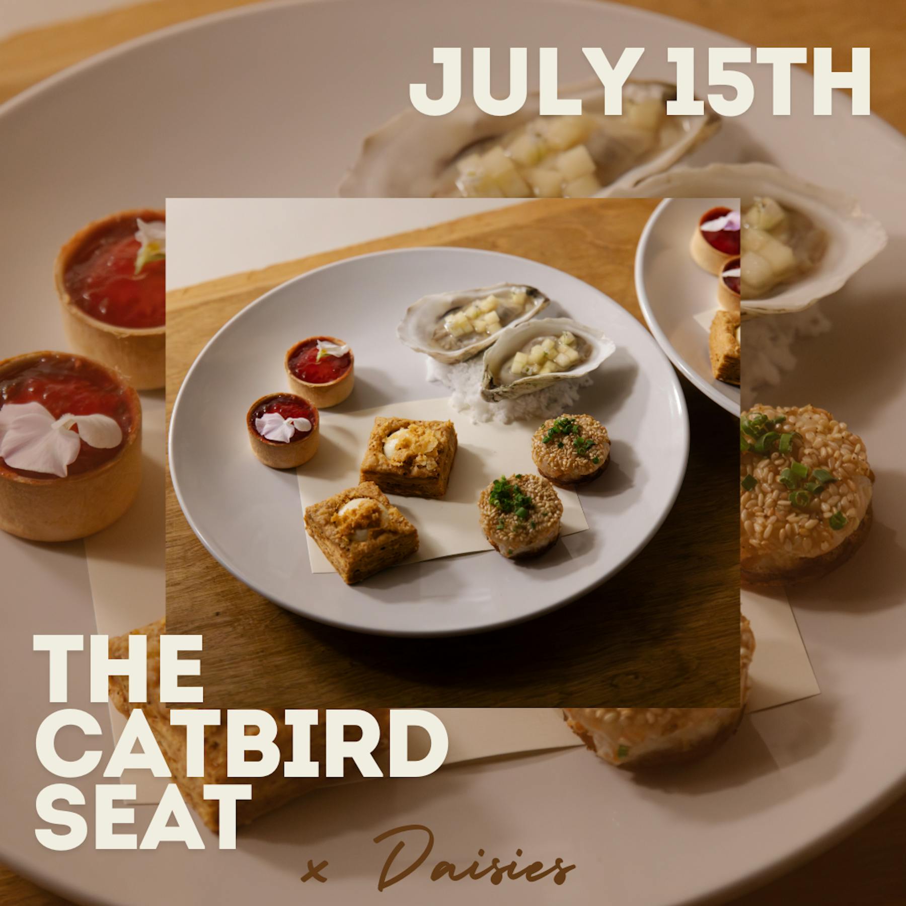 Daisies Chicago, IL Tock