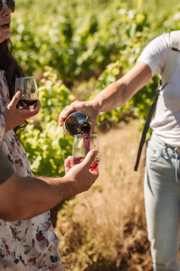 alcoholic drink, people in nature, sunglasses, spring, drinking, goggles