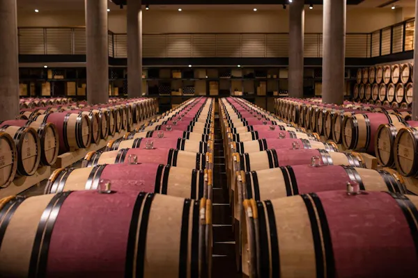 barrel, chair, winery, wine cellar, building, musical instrument accessory