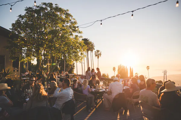 tree, leisure, palm trees, evening, crowd, vacation
