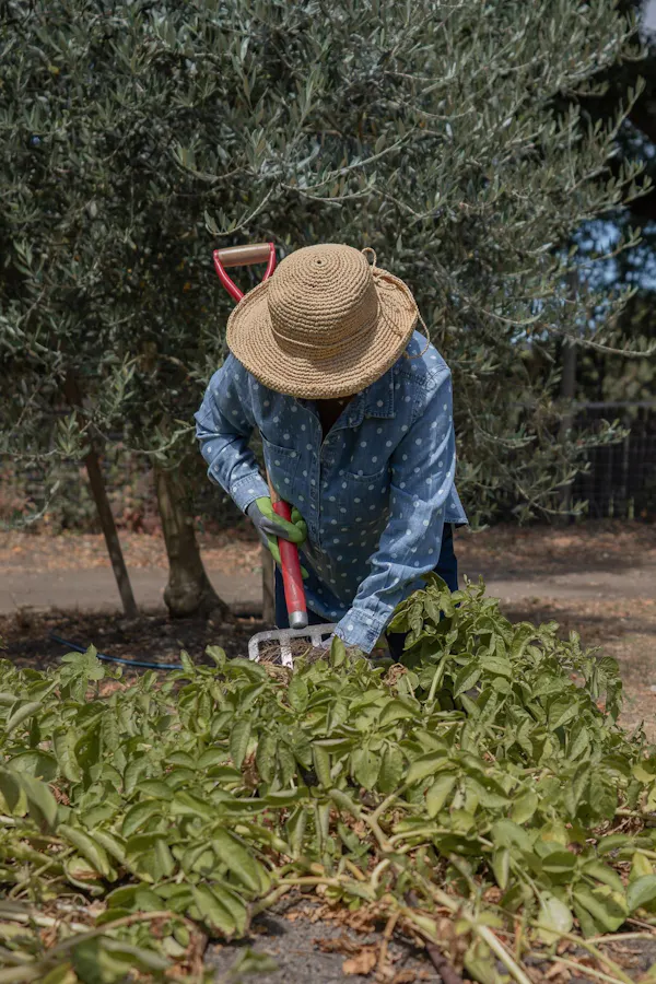 farmworker, hat, agriculture, agriculturist, plantation, soil