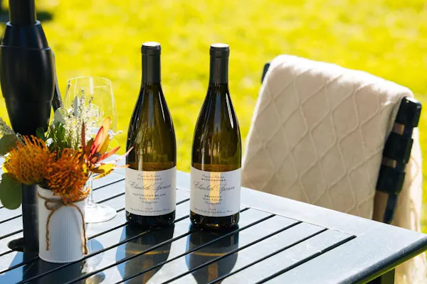 bottle, alcoholic drink, glass bottle, furniture, barware, wine bottle