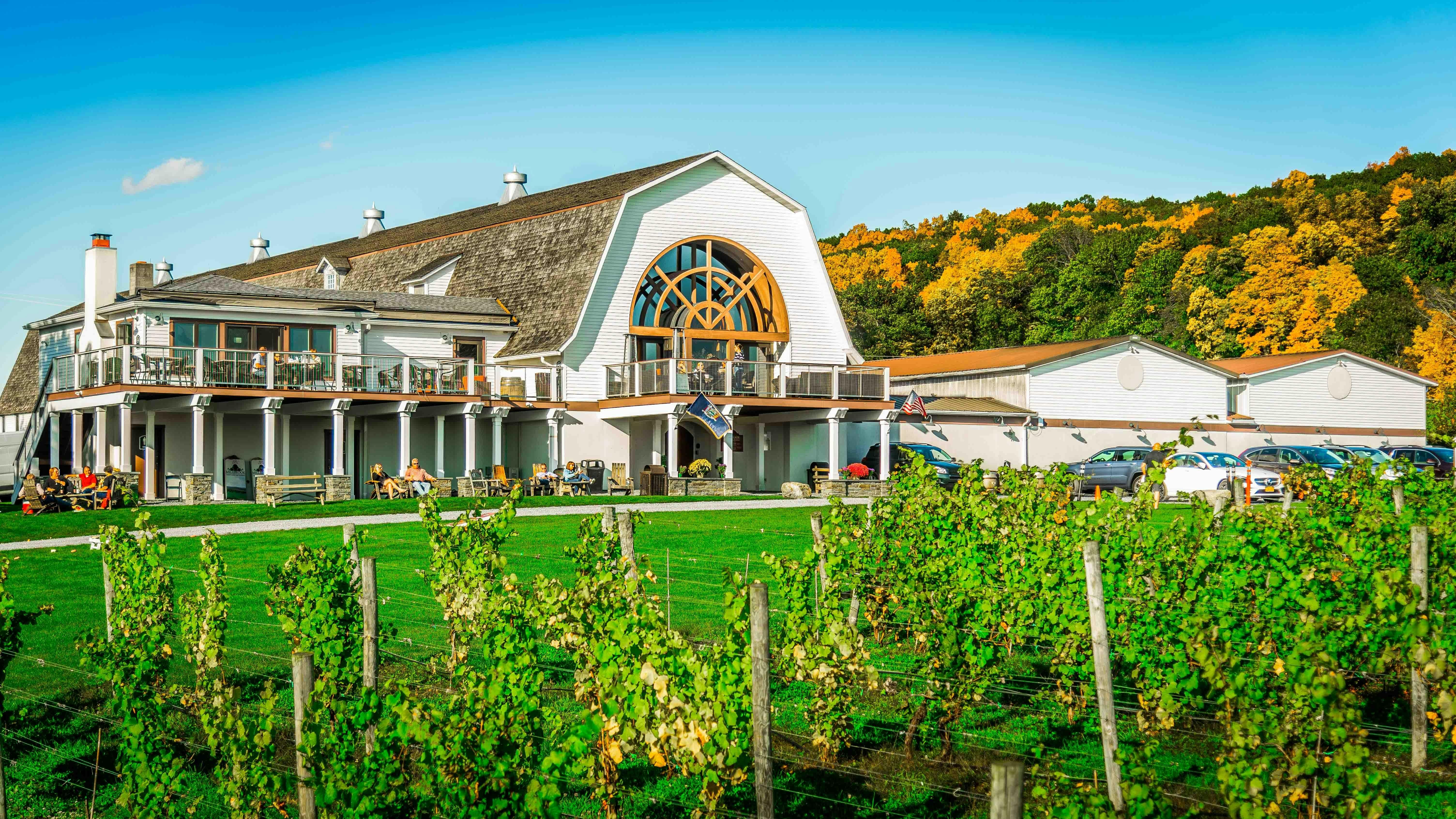 Millbrook Vineyards