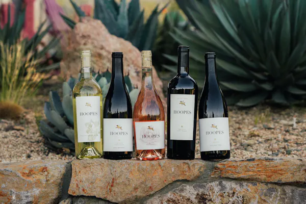 bottle, alcoholic drink, glass bottle, alcohol, wine bottle, wine