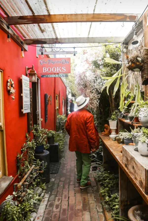 plant, flowerpot, temple, building, leisure, houseplant