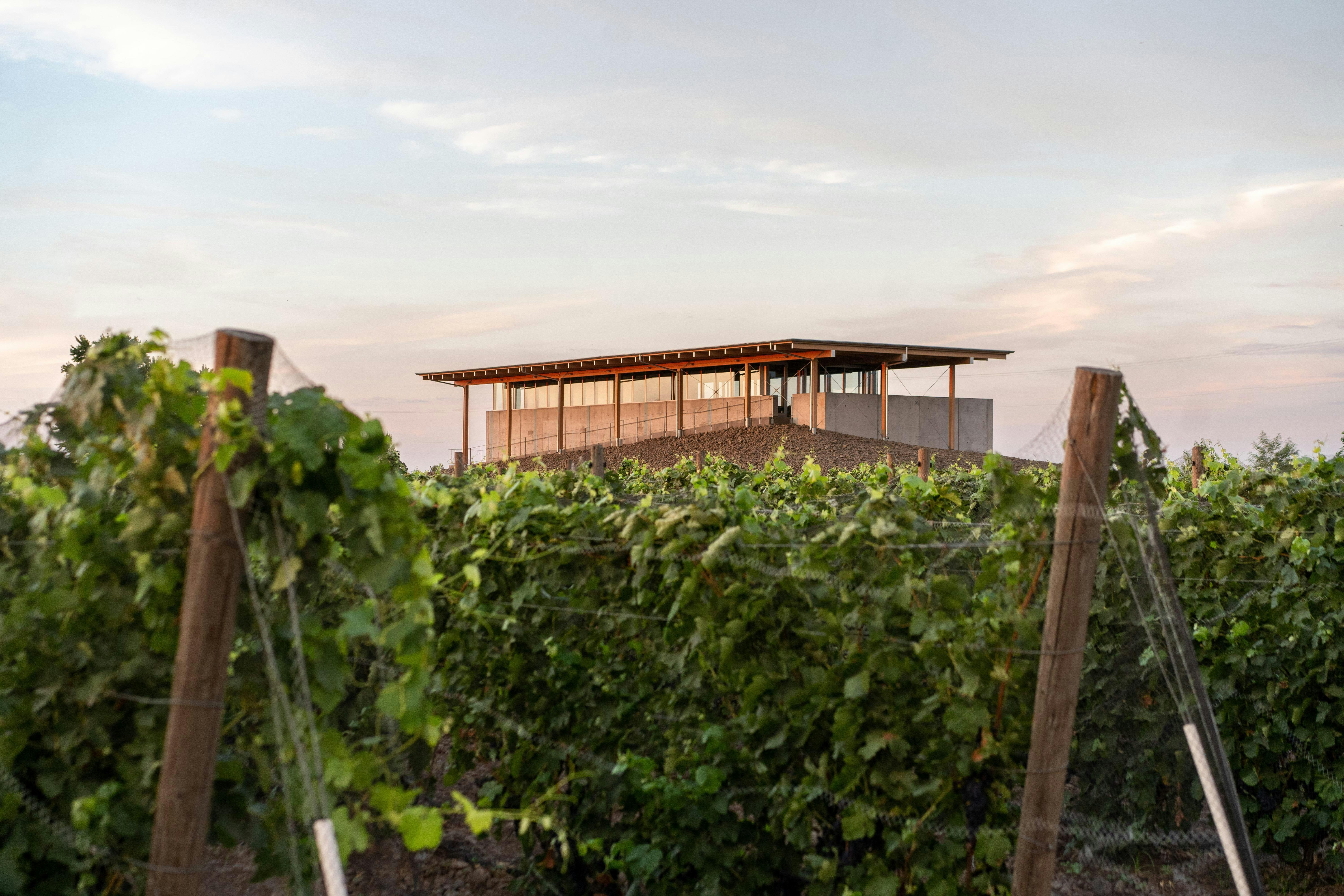 Rotie Cellars, House of Bones, and Proper Wines