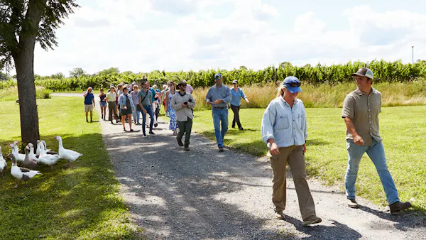 jeans, recreation, leisure, people in nature, spring, fun