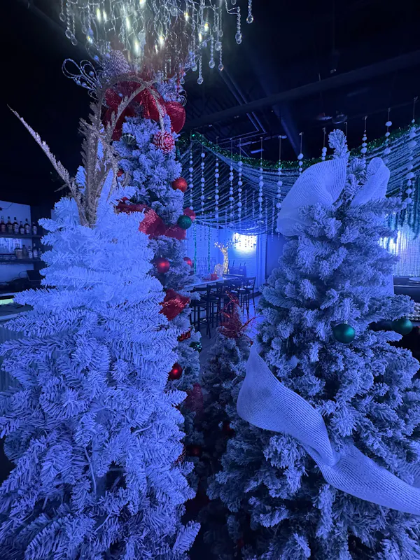 blue, christmas decoration, event, christmas day, lighting, christmas tree