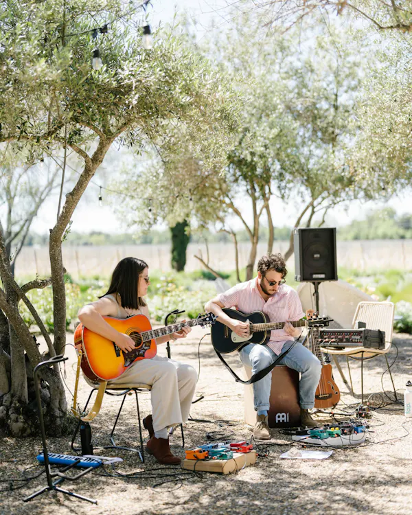 musical instrument, string instrument, plucked string instrument, chordophone, guitar, guitarist