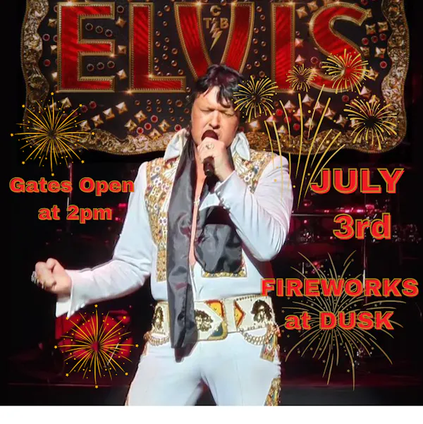 elvis impersonator, entertainment, performance, performing arts, microphone, pop music