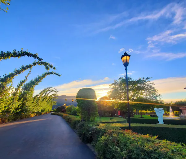 sky, nature, landscape, garden, morning, sunlight