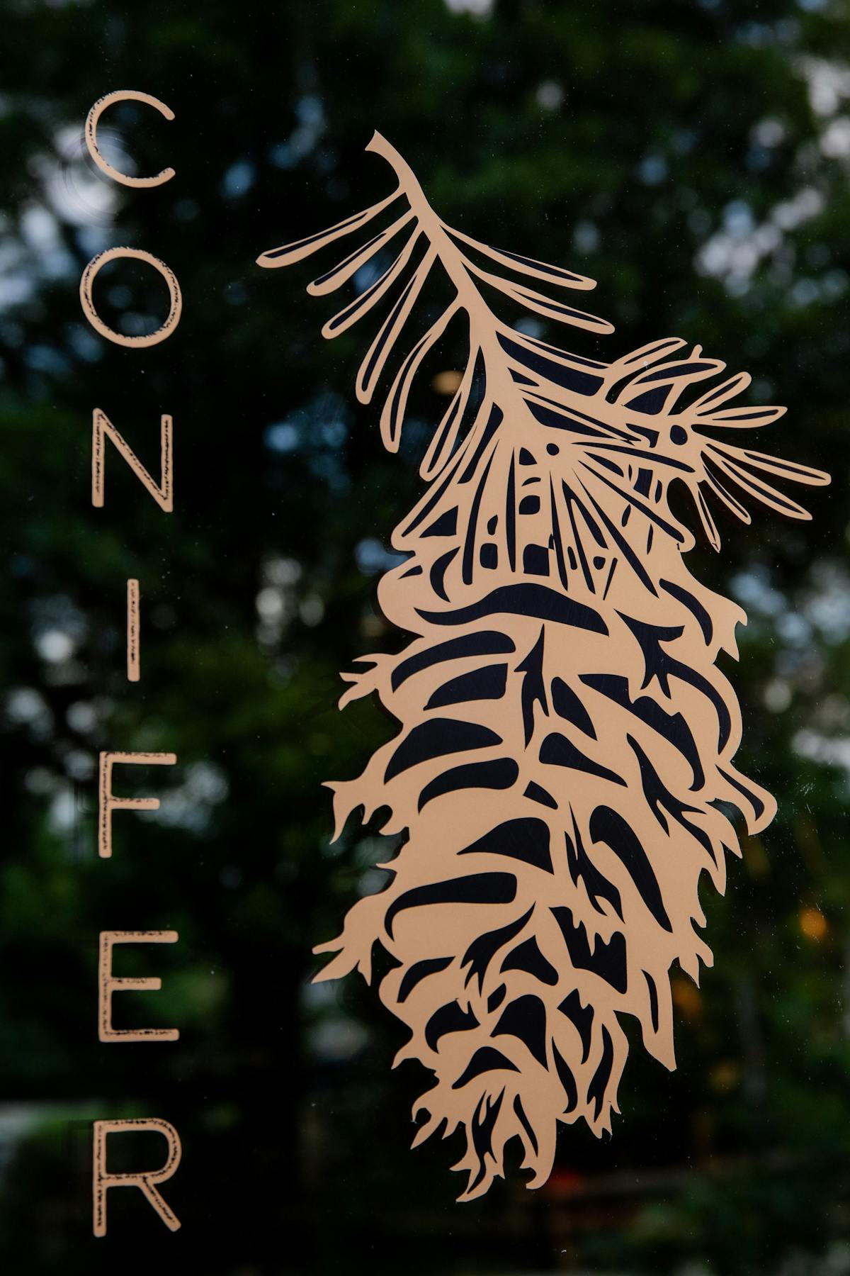 conifer-bentonville-ar-tock