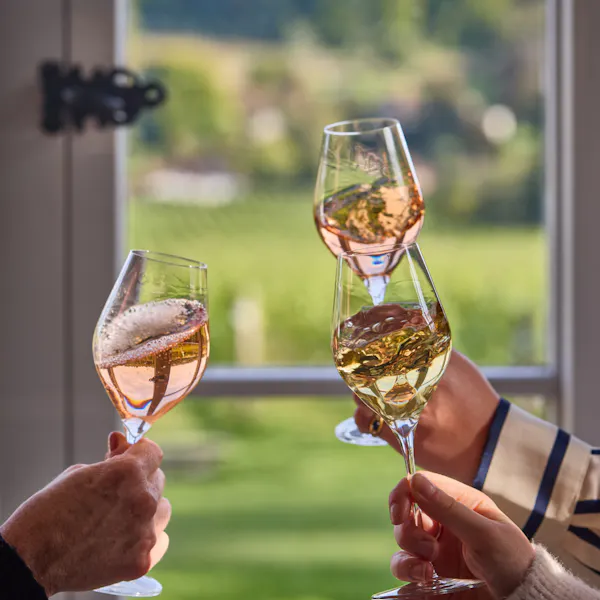 stemware, tableware, drinkware, wine glass, alcoholic drink, barware