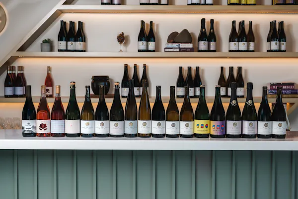 bottle, ceiling, alcoholic drink, shelving, glass bottle, wine bottle