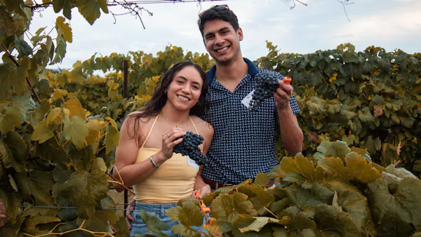 happiness, smile, people in nature, grapes, agriculture, vineyard