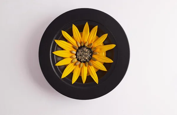 plant, flower, petal, automotive tire, art, rim