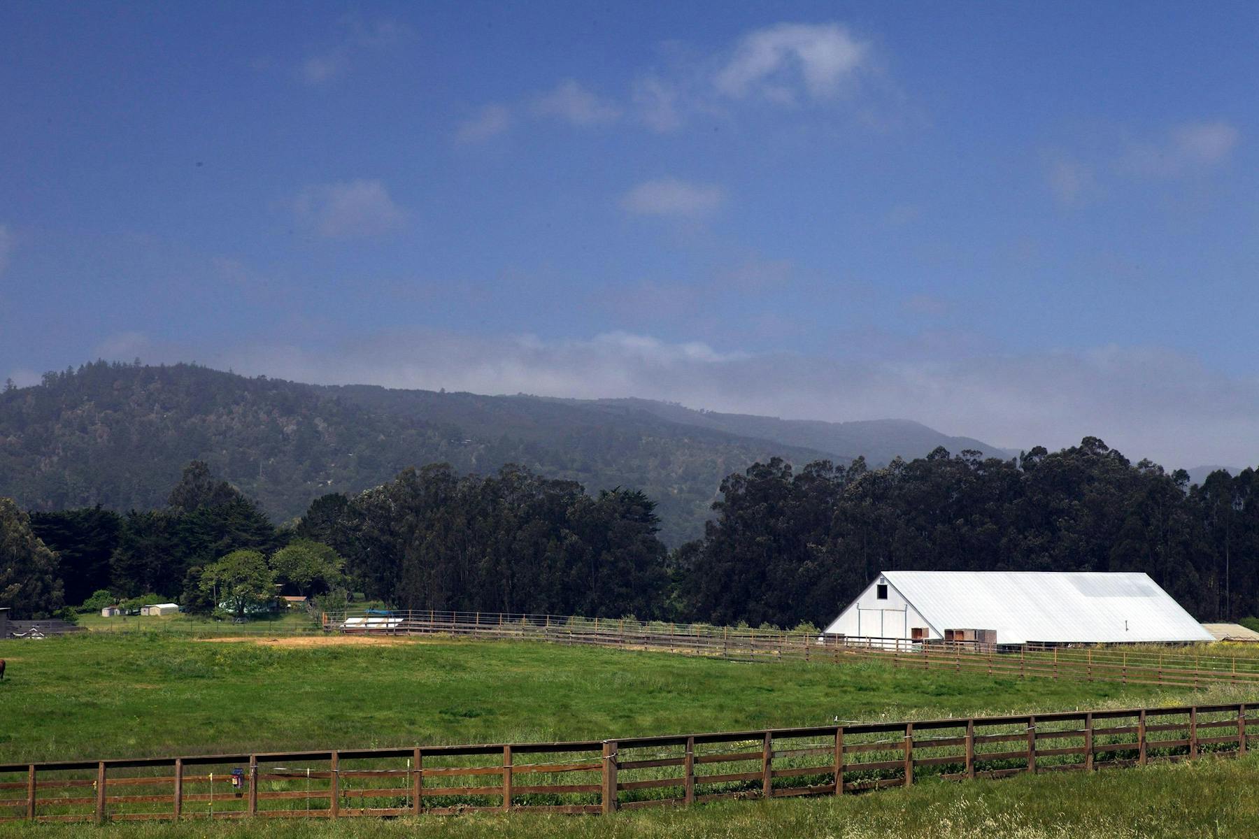 Heidrun Meadery Point Reyes Station, CA Tock