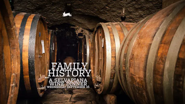 barrel, winery, wine cellar