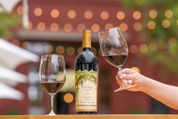 alcoholic drink, drinkware, wine, barware, liquor, stemware
