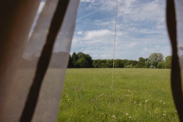 grass, grassland, plain, field, land lot, grasses