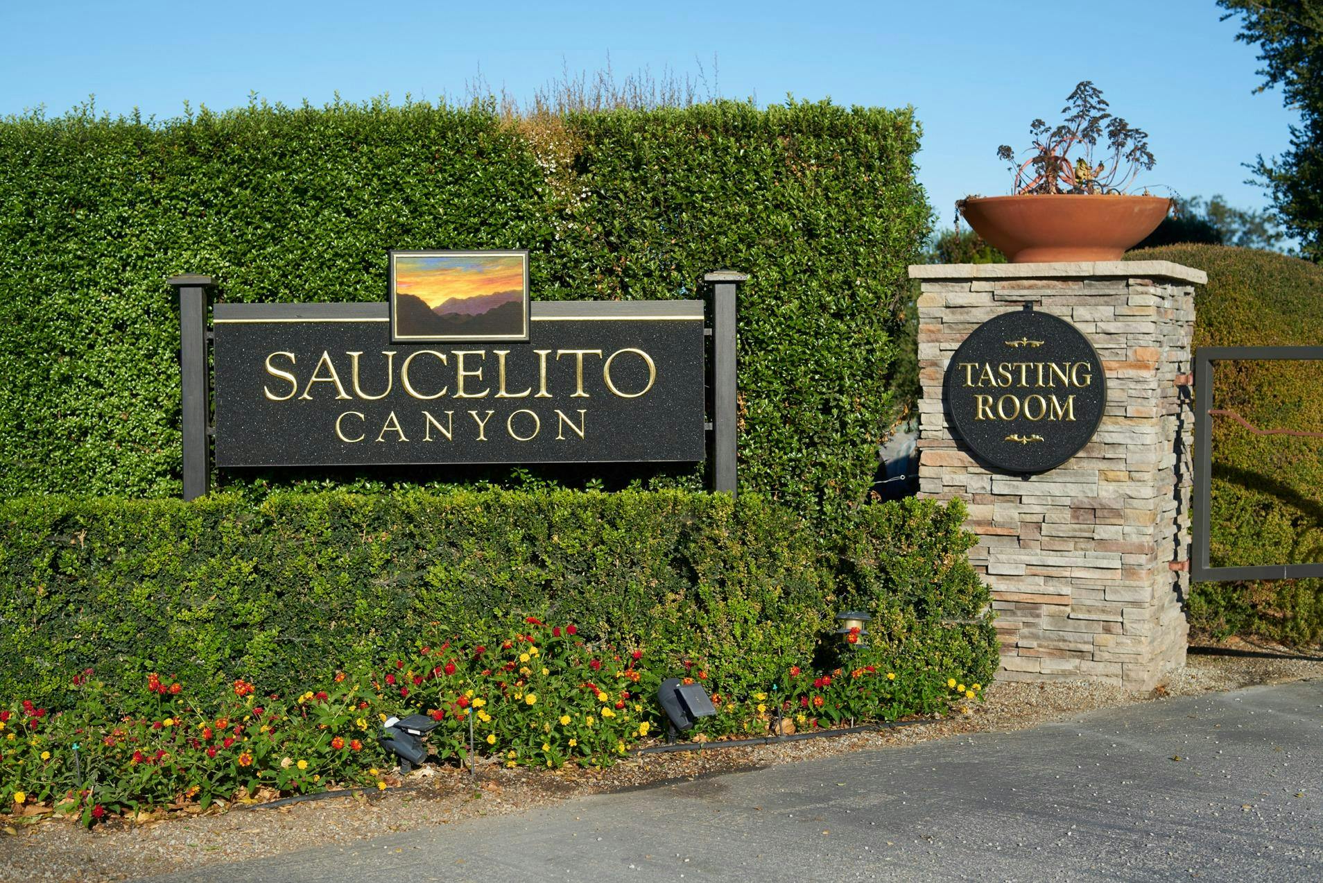 Saucelito Canyon Vineyard