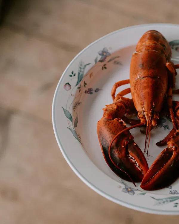 tableware, food, serveware, seafood, dishware, lobster
