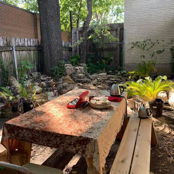 plant, table, tree, wood, flowerpot, houseplant