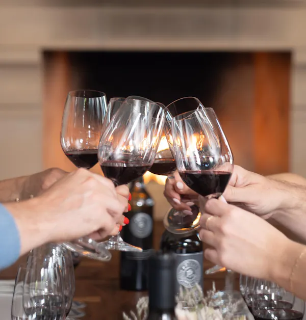 hand, tableware, stemware, drinkware, wine, wine glass