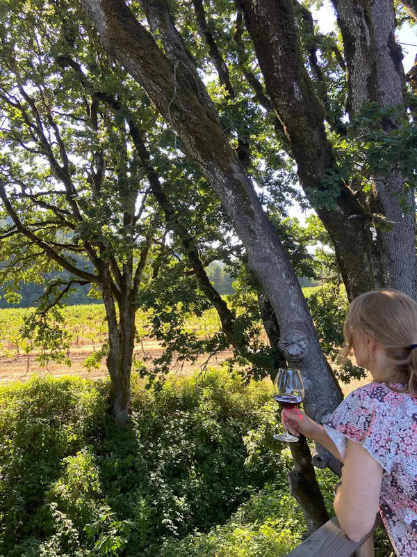 leaf, branch, trunk, people in nature, spring, sunlight