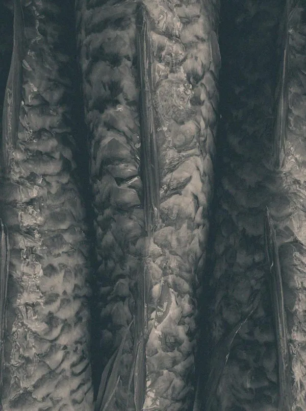 close-up, monochrome, natural material