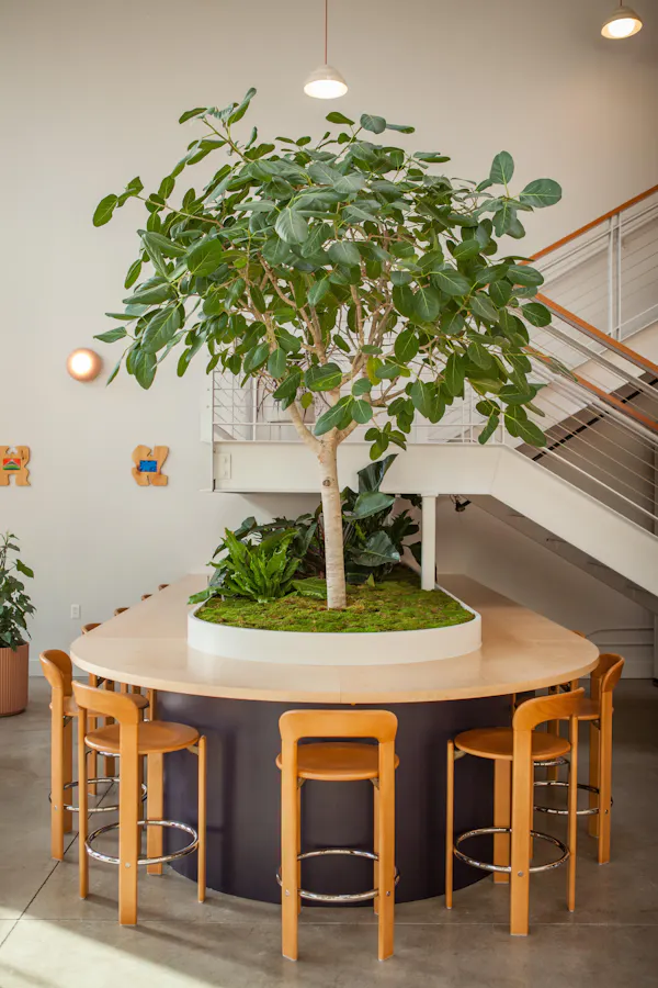 flowerpot, houseplant, shade, wood stain, light fixture