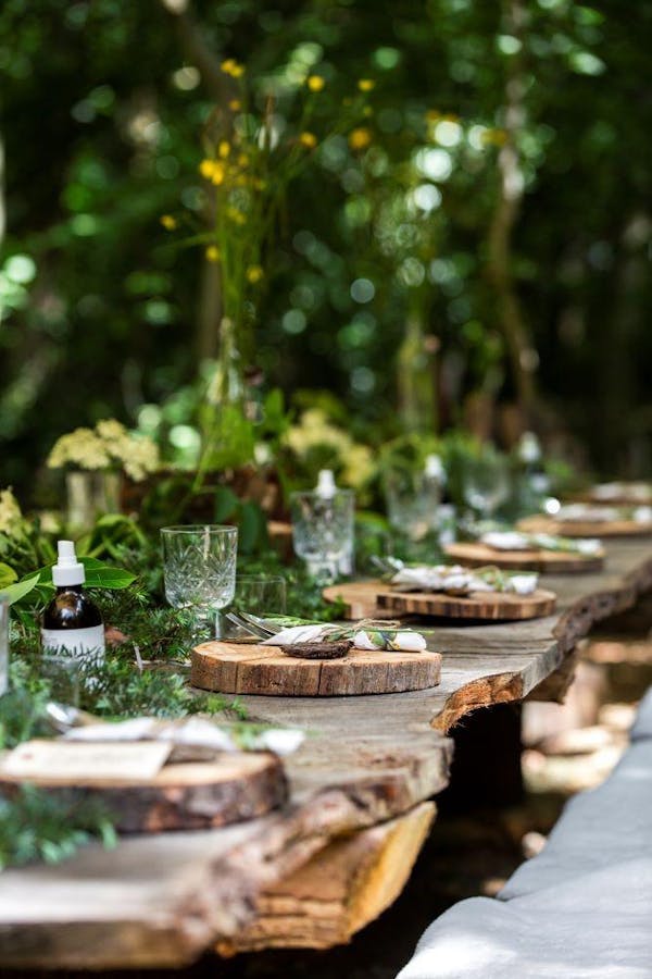 plant, table, bottle, wood, tableware, outdoor furniture
