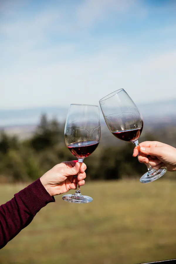 stemware, wine glass, drinkware, tableware, red wine, alcoholic drink