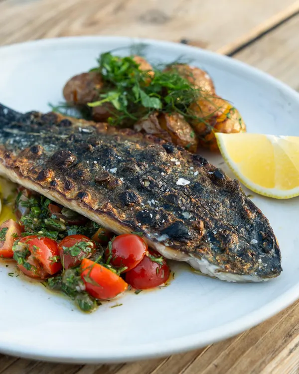 food, ingredient, cooking, seafood, produce, recipe
