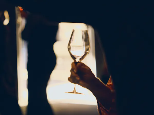 stemware, drinkware, tableware, wine glass, alcoholic drink, liquid